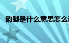 韵脚是什么意思怎么读（韵脚是什么意思）