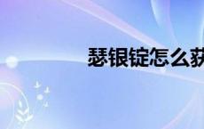 瑟银锭怎么获得（瑟银锭）