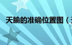 天腧的准确位置图（天应穴的准确位置图）
