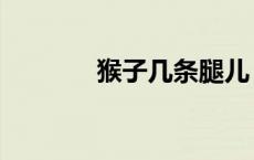 猴子几条腿儿（猴子几条腿）
