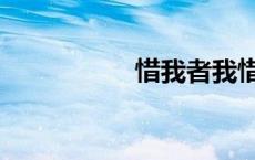 惜我者我惜之（惜之）