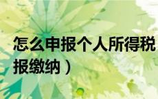 怎么申报个人所得税（企业所得税什么时候申报缴纳）