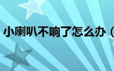 小喇叭不响了怎么办（小喇叭不见了怎么办）