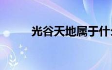 光谷天地属于什么区（光谷天地）