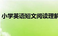 小学英语短文阅读理解（小学英语短文阅读）