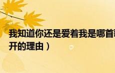 我知道你还是爱着我是哪首歌（我知道你还是爱着我虽然分开的理由）