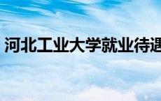 河北工业大学就业待遇（河北工业大学就业）