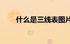 什么是三线表图片（什么是三线表）