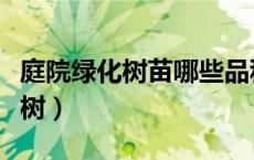 庭院绿化树苗哪些品种最好（庭院绿化栽什么树）