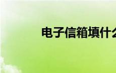 电子信箱填什么?（电子信箱）