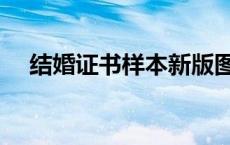 结婚证书样本新版图片（结婚证书样本）