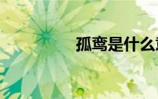 孤鸾是什么意思（孤鸾）