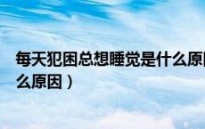 每天犯困总想睡觉是什么原因中医（每天犯困总想睡觉是什么原因）