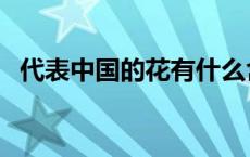 代表中国的花有什么含义（代表中国的花）