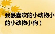 我最喜欢的小动物小狗500字作文（我最喜欢的小动物小狗）