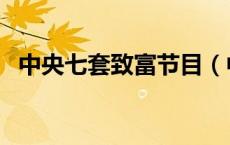 中央七套致富节目（中央七套致富经全集）