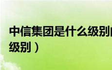 中信集团是什么级别的单位（中信集团是什么级别）