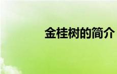 金桂树的简介（金桂树简介）