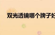 双光透镜哪个牌子好（偏光太阳镜品牌）