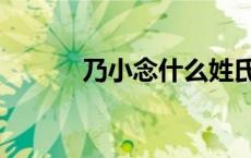 乃小念什么姓氏（乃小念什么）