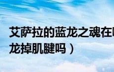 艾萨拉的蓝龙之魂在哪（艾萨拉的那些精英蓝龙掉肌腱吗）