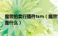 魔兽拍卖行插件tsm（魔兽世界多玩魔盒自带的拍卖行插件是什么）
