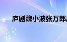庐剧魏小波张万郎后传（庐剧魏小波）