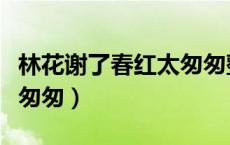 林花谢了春红太匆匆整首诗（林花谢了春红太匆匆）