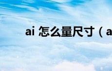 ai 怎么量尺寸（ai怎么量尺寸大小）