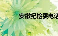 安徽纪检委电话（安徽纪检委）