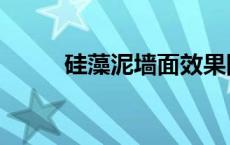 硅藻泥墙面效果图（硅藻泥墙面）