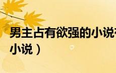 男主占有欲强的小说有哪些（男主占有欲强的小说）