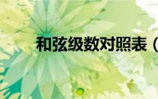 和弦级数对照表（和弦级数是什么）