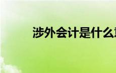 涉外会计是什么意思（涉外会计）
