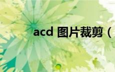 acd 图片裁剪（acd图片编辑器）