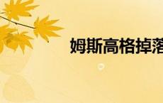姆斯高格掉落（姆斯高格）