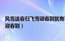 风雪送春归飞雪迎春到犹有花枝俏请补全（风雪送信归飞雪迎春到）