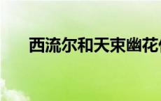 西流尔和天束幽花什么关系（西流尔）