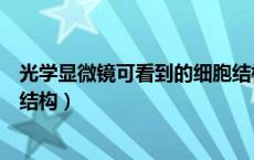 光学显微镜可看到的细胞结构（光学显微镜下能看到的细胞结构）