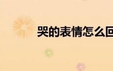哭的表情怎么回复（哭的表情）