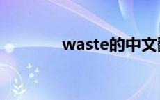 waste的中文翻译（waste）