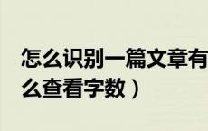 怎么识别一篇文章有多少字数（word文档怎么查看字数）