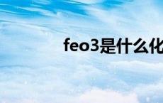 feo3是什么化学名称（feo）