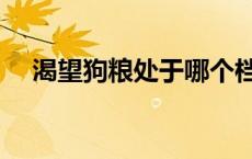 渴望狗粮处于哪个档次（渴望狗粮官网）