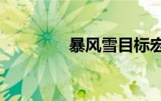暴风雪目标宏（暴风雪宏）
