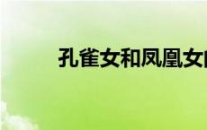 孔雀女和凤凰女的区别（孔雀女）