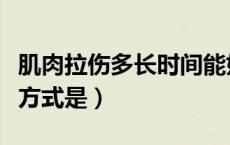 肌肉拉伤多长时间能好（肌肉拉伤的最佳处理方式是）