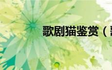 歌剧猫鉴赏（歌剧猫的简介）