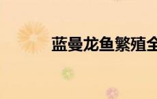 蓝曼龙鱼繁殖全过程（蓝曼龙）