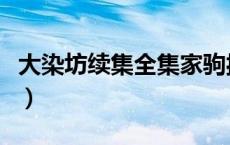 大染坊续集全集家驹扮演者（大染坊续集全集）